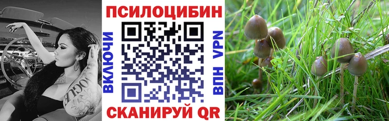 blacksprut ONION  Кохма  Псилоцибиновые грибы прущие грибы 