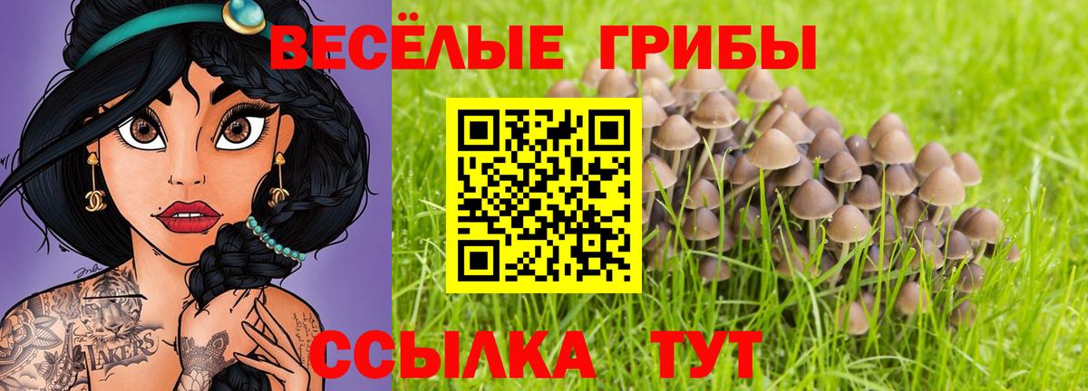 Галлюциногенные грибы Cubensis Кохма