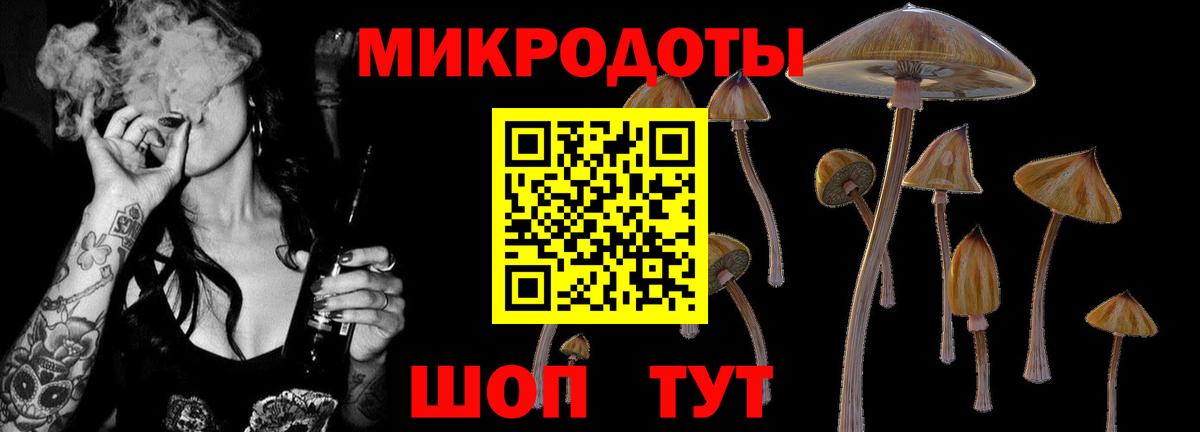 Галлюциногенные грибы Cubensis  Псилоцибиновые грибы Psilocybe  наркотики  Кохма  Вход с VPN 